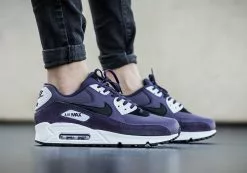 Nike Air Max 90 Dark Raisin 325213-507
